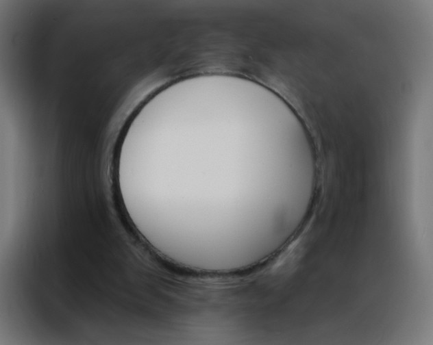 X0000088200103200705221731