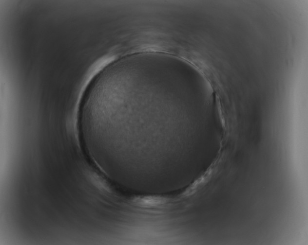X0000088200104200705221731