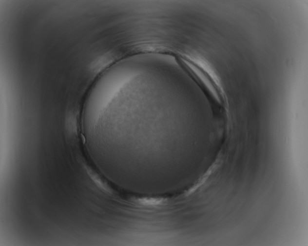 X0000088200105200705221731
