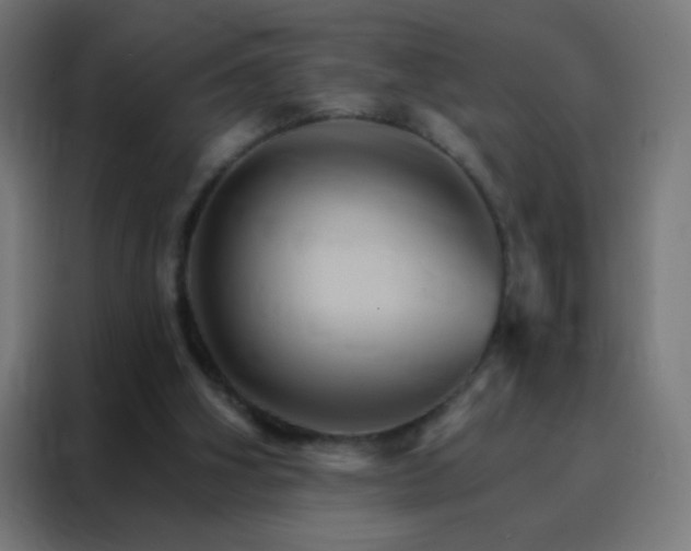 X0000088200106200705221731