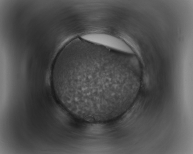 X0000088200107200705221731