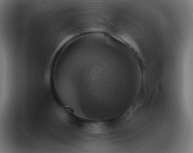 X0000088200108200705221731