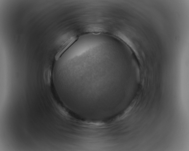 X0000088200109200705221731