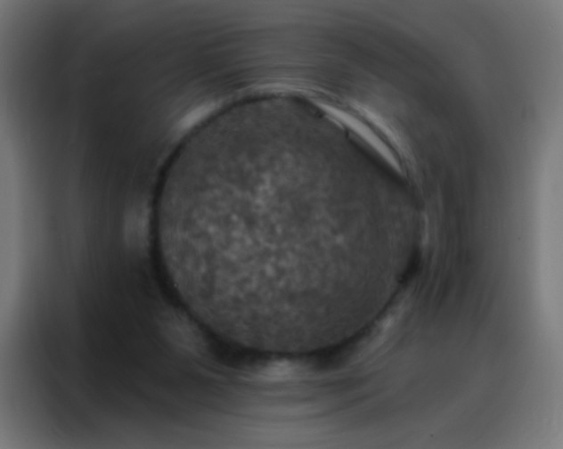 X0000088200111200705221731