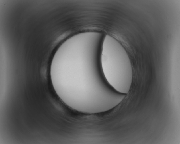 X0000088200112200705221731