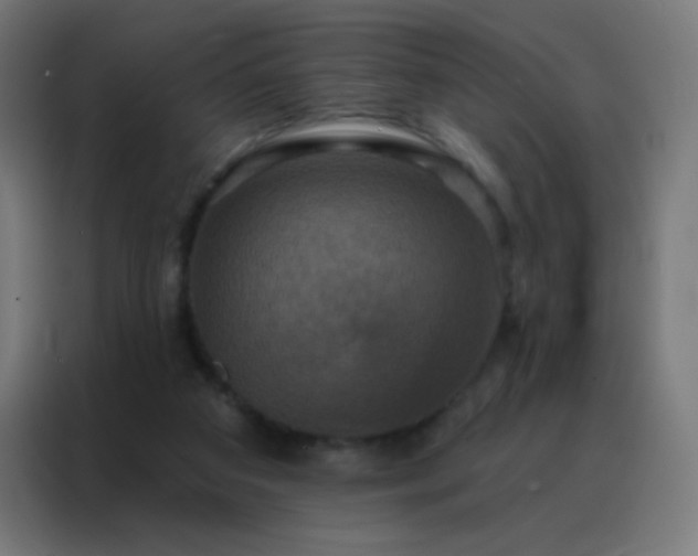 X0000088200113200705221731