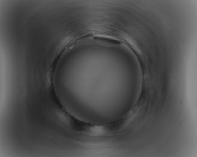 X0000088200114200705221731