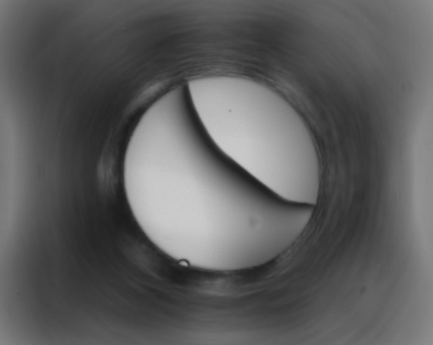 X0000088200116200705221731