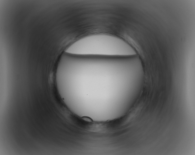 X0000088200117200705221730