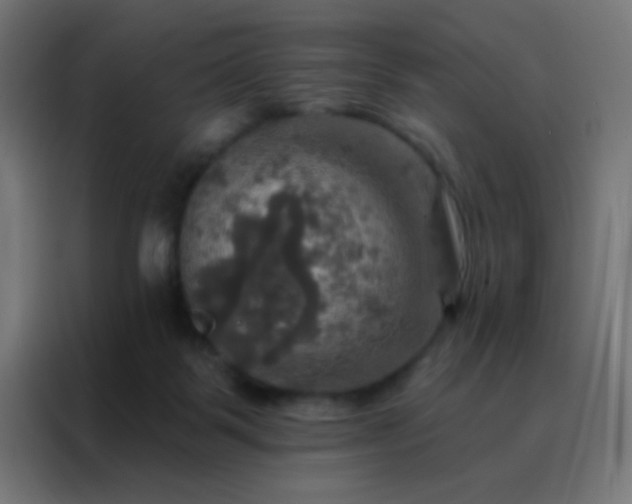 X0000088200123200705221730