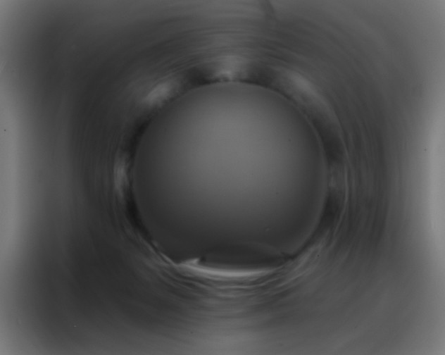 X0000088200127200705221730