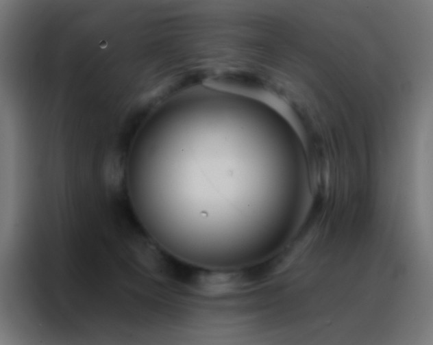X0000088200129200705221730