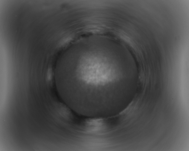 X0000088200132200705221730