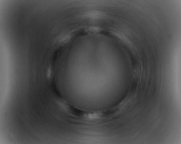 X0000088200134200705221730