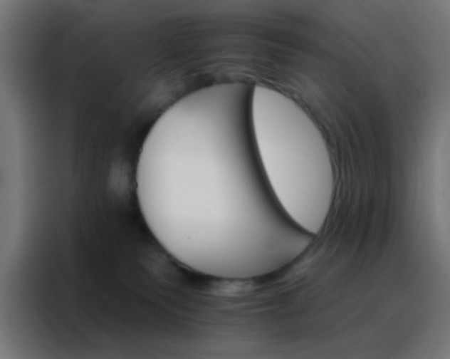 X0000088200135200705221730