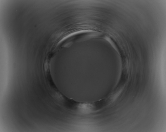 X0000088200137200705221730