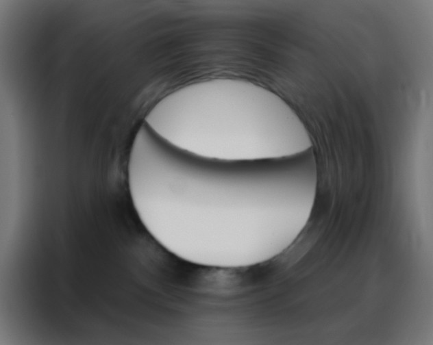 X0000088200140200705221730