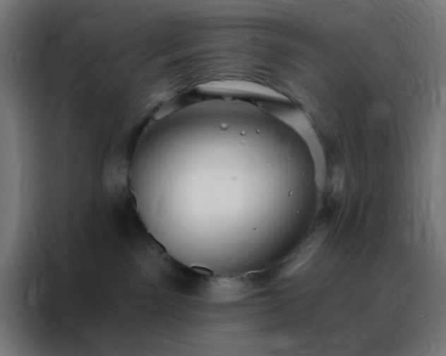 X0000088200141200705221730