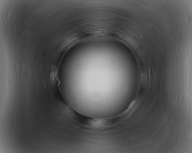 X0000088200142200705221730