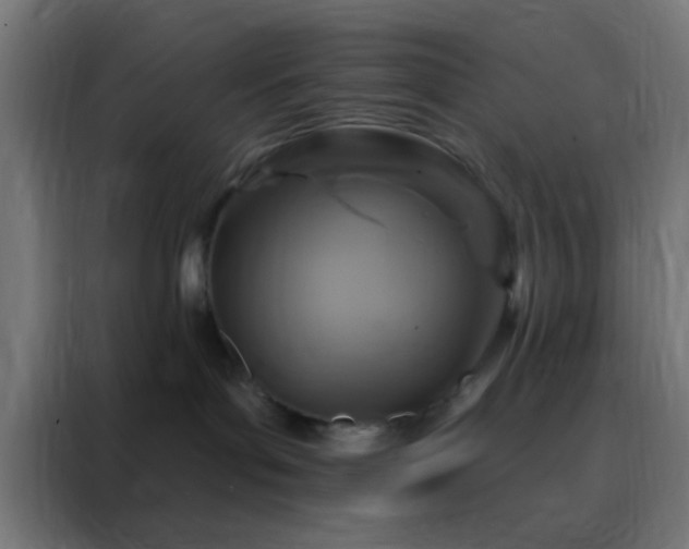 X0000088200143200705221730