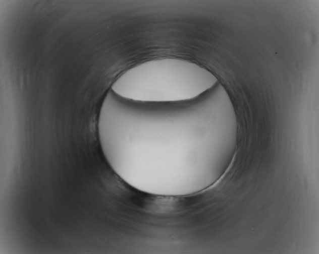 X0000088200144200705221730
