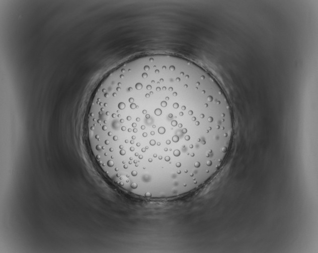 X0000088200145200705221730
