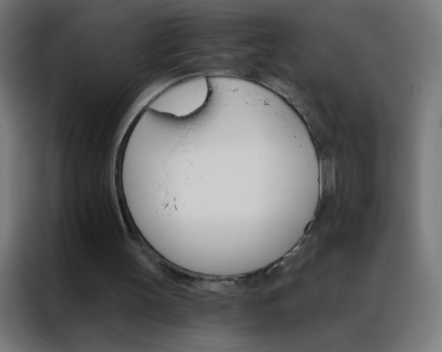 X0000088200147200705221730