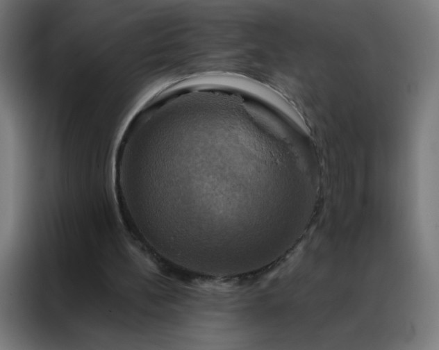 X0000088200148200705221730