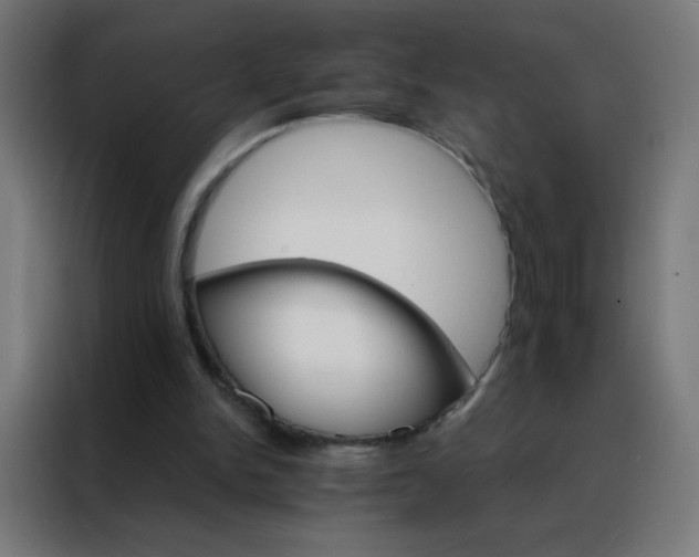 X0000088200150200705221730