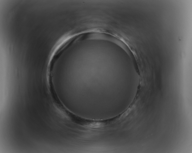 X0000088200152200705221730