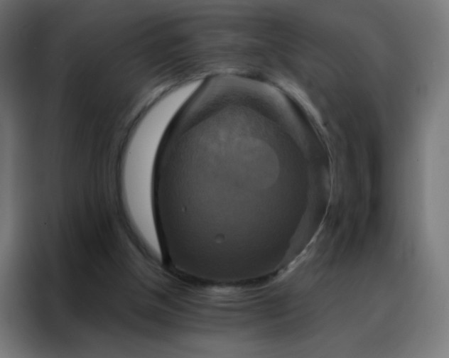 X0000088200154200705221730