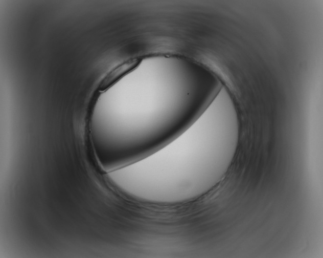 X0000088200156200705221730