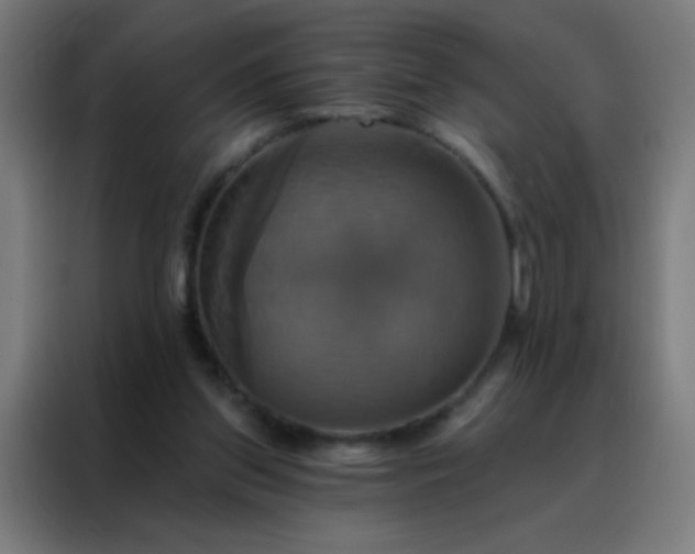 X0000088200157200705221730
