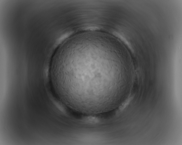 X0000088200159200705221730