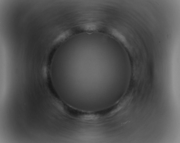 X0000088200161200705221730