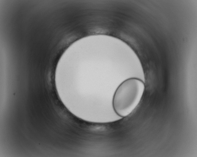 X0000088200162200705221730