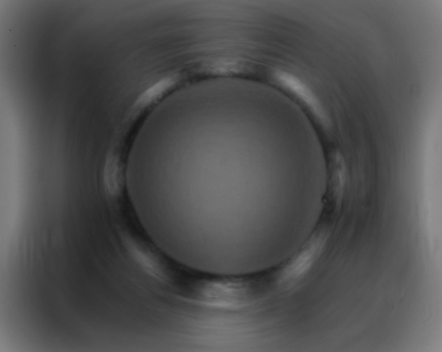 X0000088200164200705221730