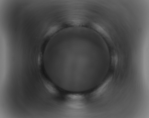 X0000088200165200705221730