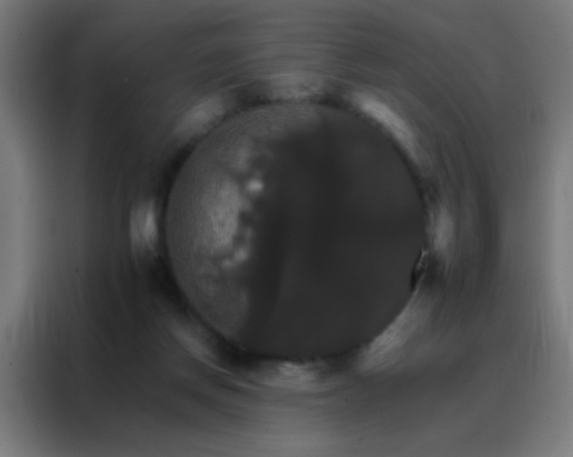 X0000088200166200705221730