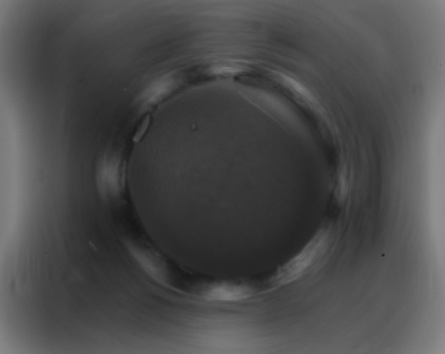 X0000088200168200705221730