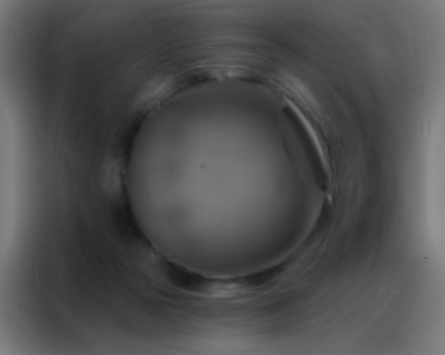 X0000088200169200705221730