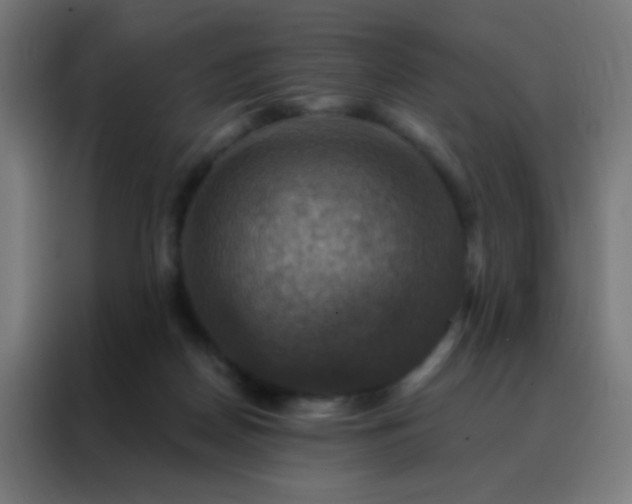 X0000088200170200705221730