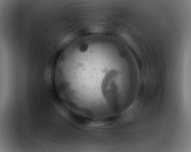 X0000088200171200705221730