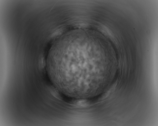 X0000088200173200705221730