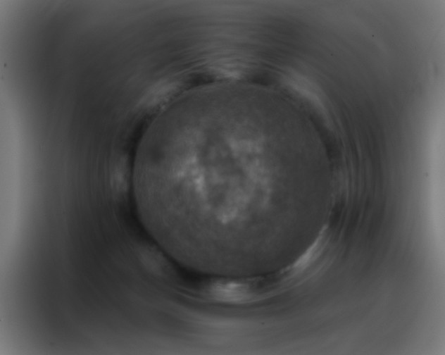X0000088200174200705221730