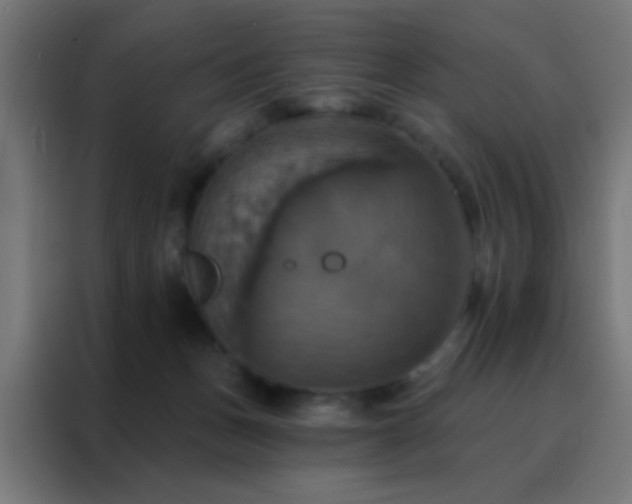 X0000088200175200705221730