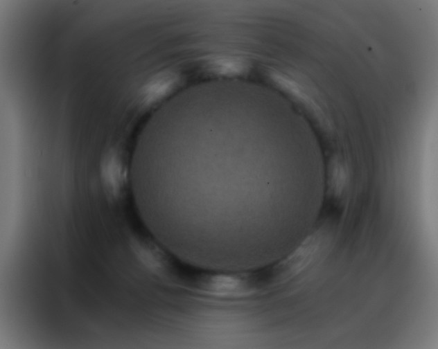 X0000088200176200705221730