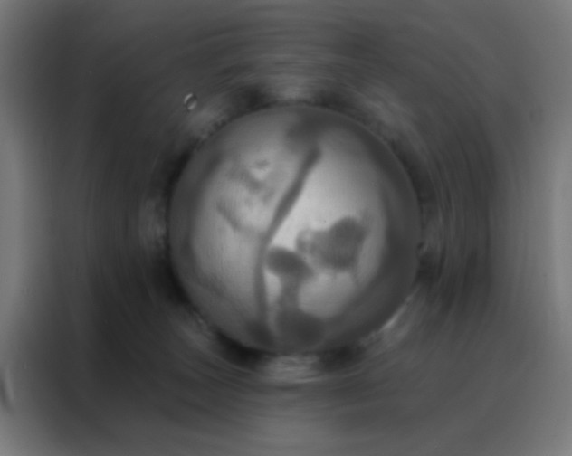 X0000088200179200705221730