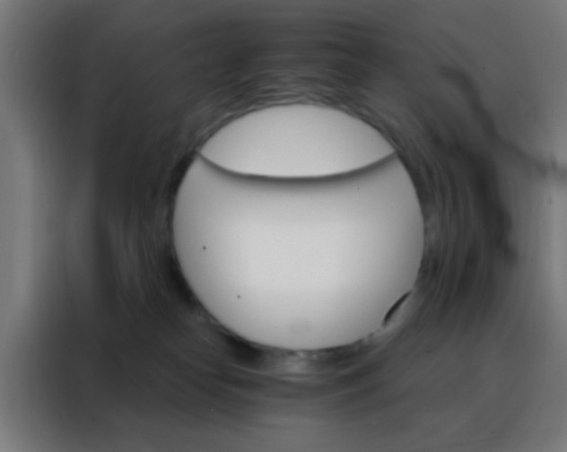 X0000088200182200705221730