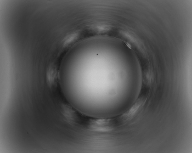 X0000088200184200705221730